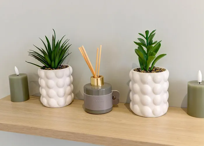 Le Cosy - Proche Du Cher * Montluçon